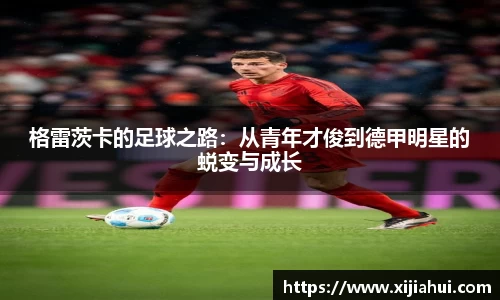 格雷茨卡的足球之路：从青年才俊到德甲明星的蜕变与成长