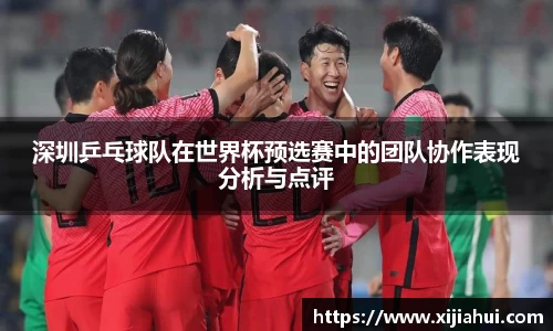 深圳乒乓球队在世界杯预选赛中的团队协作表现分析与点评