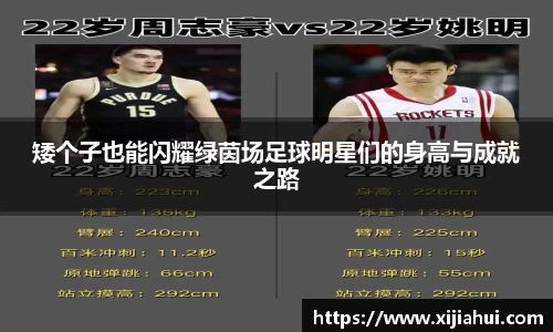 矮个子也能闪耀绿茵场足球明星们的身高与成就之路